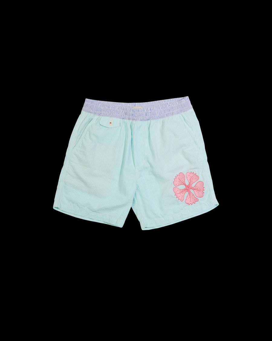 Bermuda Stripes Kiji x Maxime Hibisco