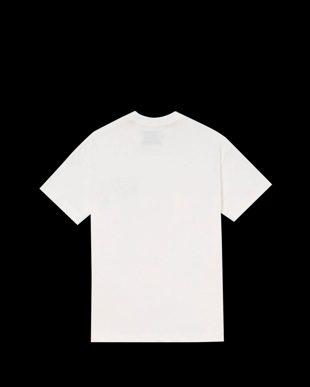 T-Shirt Kiji x Goose Island